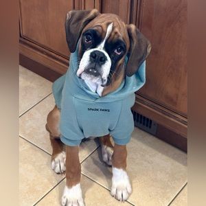 Spark Paws Essential Dog Hoodie - Teal Size Large Worn  3x’s